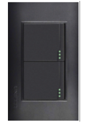 INTERRUPTOR DOBLE NEGRO ECONOMICO