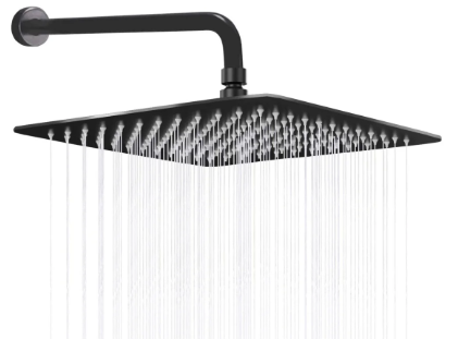DUCHA LUJO NEGRA 8" CON EXTENSOR